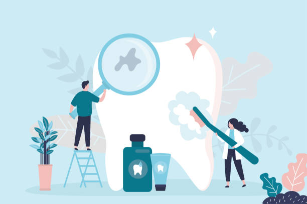 Professional  Holistic Dental Services in Island Lake, IL
